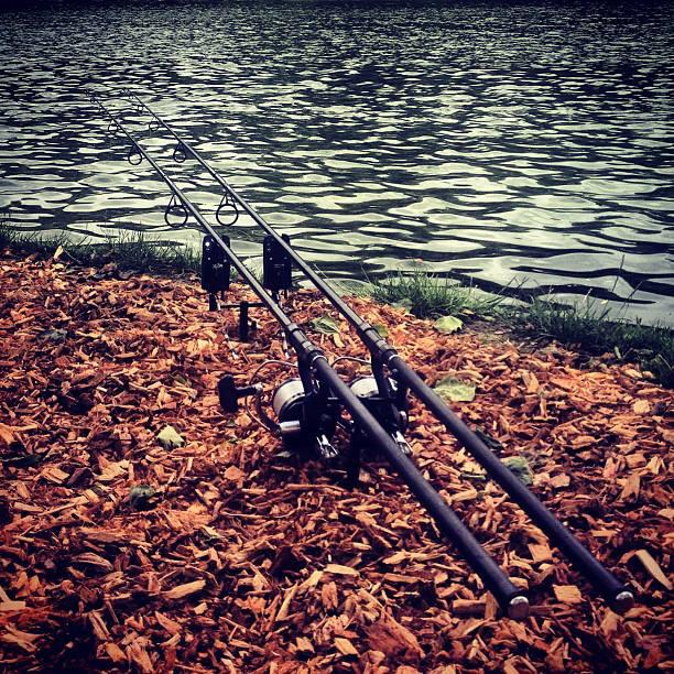 KORDA - 10170705841189149886471727292774n.jpg